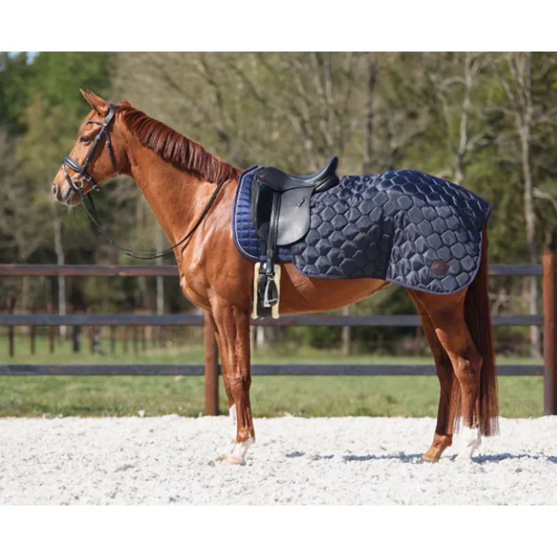 QHP Quarter Rug Classy - Navy